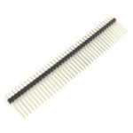 40 Pin Single Row Pin Male Header Straight Long (300mm)